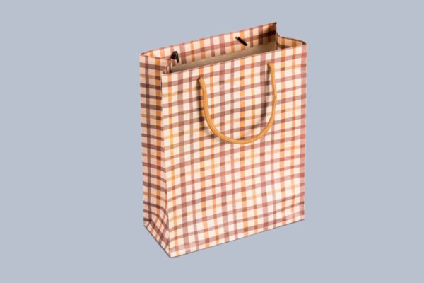 Custom paper bags-Custom gift paper bags