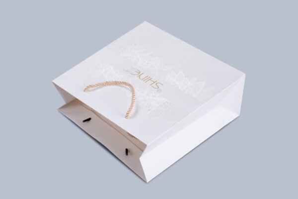 Custom retail paper bags-Custom clothes paper bags